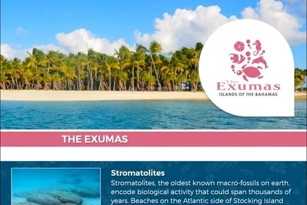 Exuma Coin Promo